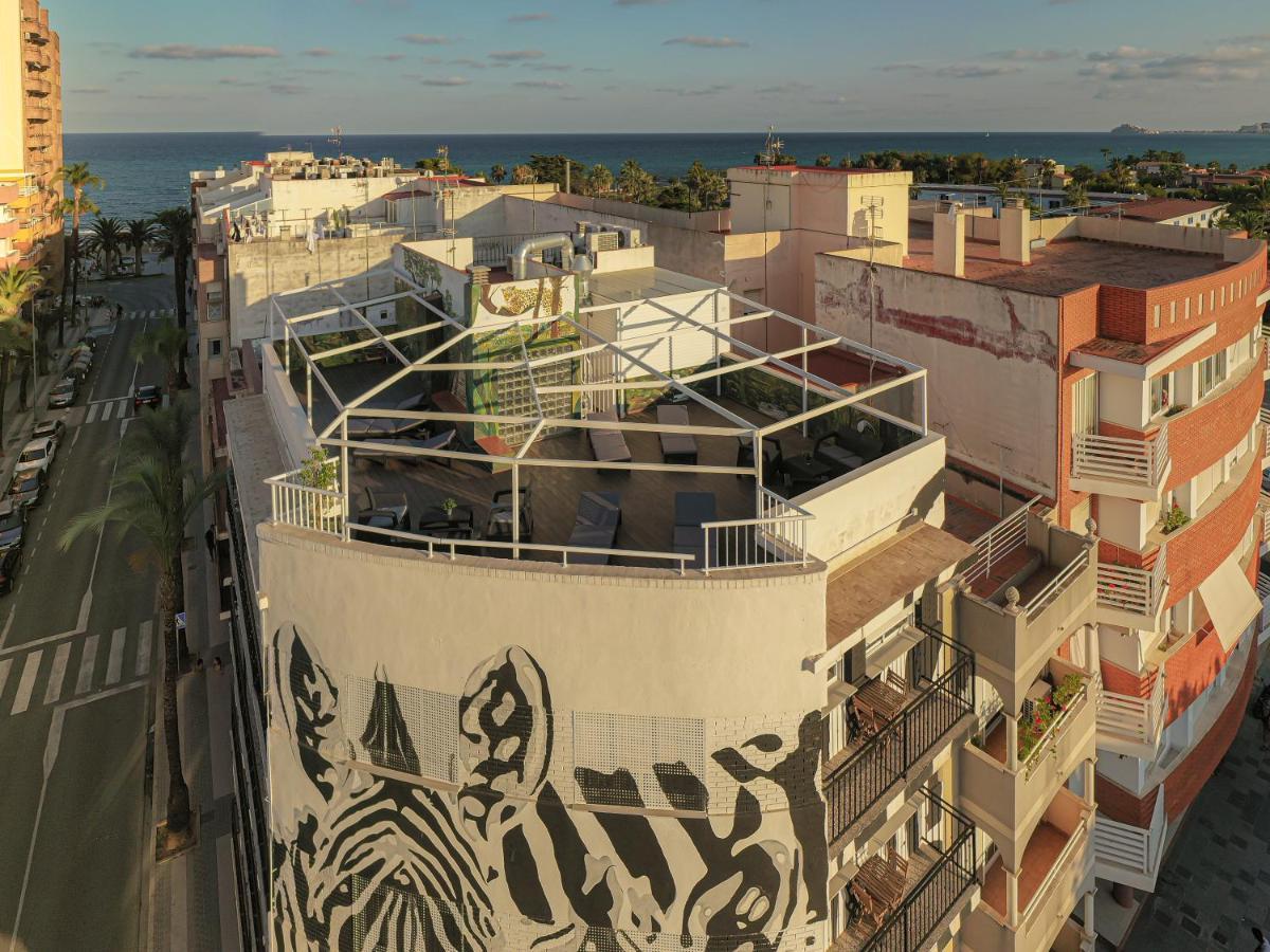 Las Cebras Apartamentos Turisticos 贝尼卡洛 外观 照片